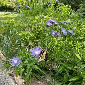 Meet your Posher, Barbara